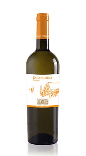 Falanghina Biorganic Molise DOC Di Majo Norante 2019