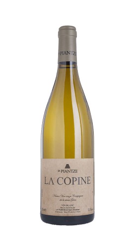 "La Copine" Sauvignon Blanc La Plantze 2019