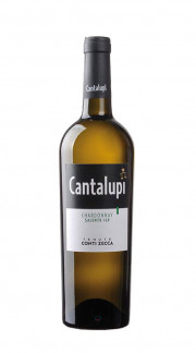 Cantalupi Chardonnay Conti Zecca 2021