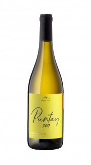 Pinot Bianco 'Puntay' Alto Adige DOC Erste+Neue 2019