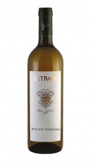 Trentino Pinot Grigio DOC Letrari 2020