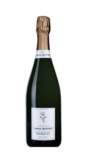 Champagne Extra Brut Assemblage 2011 Colette Bonnet