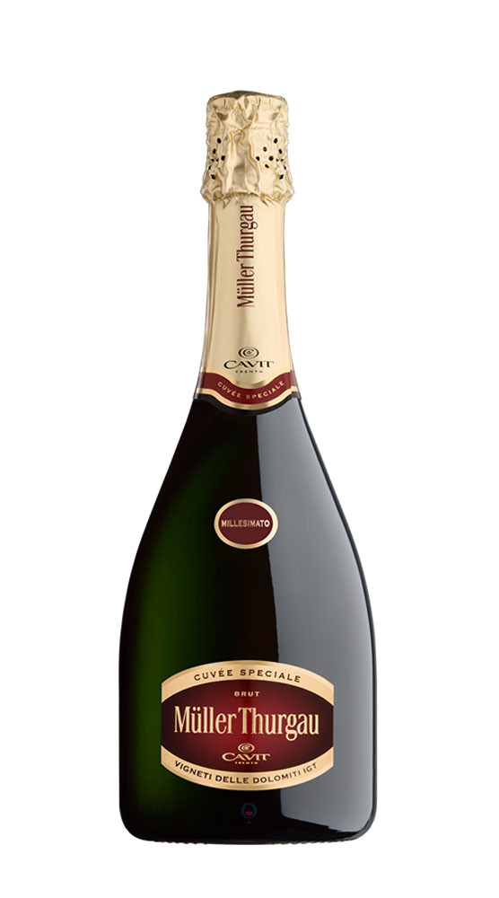 Buy Cuvee Speciale Brut Traditional Cavit 2022 75 cl
