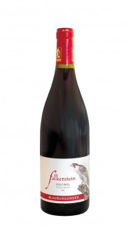'Blauburgunder' Pinot Nero Alto Adige/Sudtirol DOC Falkenstein 2020