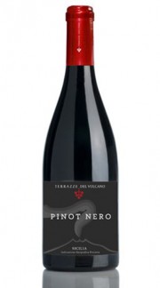 Sicilia Pinot Nero IGT Terrazze dell'Etna 2016