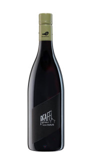 Zweigelt from the house winery R'A Pfaffl 2022
