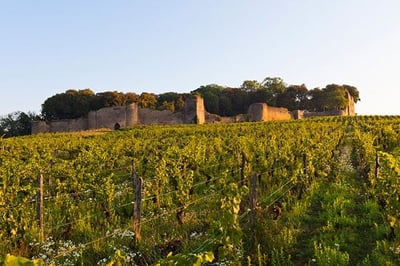 Chateau d'Arlay