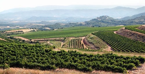 Vinedos Iberian