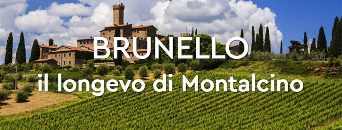 Brunello il longevo di Montalcino