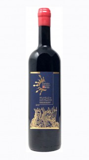 Brunello di Montalcino DOCG "Etichetta 31 Anni" Solaria Cencioni 2016