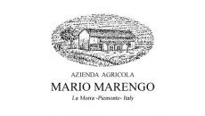 Mario Marengo