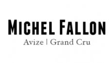 Fallon Michel