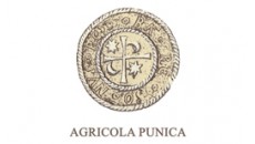 Agripunica