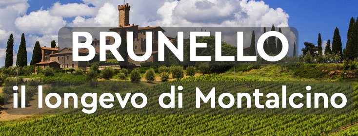 Brunello il longevo di Montalcino